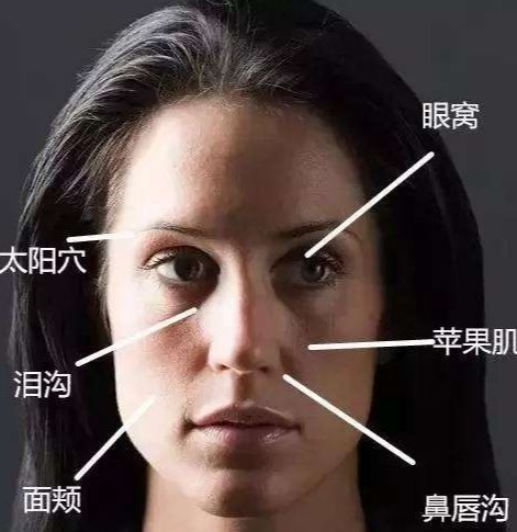 6.2一个人脸窄的面相分析.png