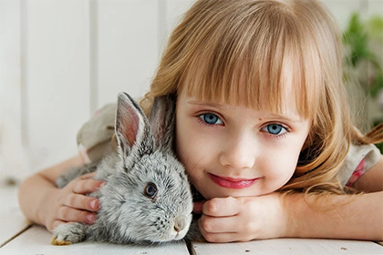 2023年农历十二月出生的兔宝宝命运如何   属兔十二月几日出生好